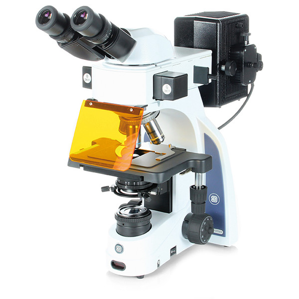 Euromex Microscópio iScope,  IS.3152-PLFi/3, bino
