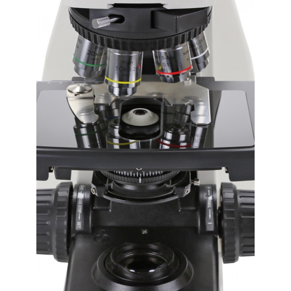 Euromex Microscópio DX.1153-PLPHi, phase, trino, infinity, 40x - 1000x