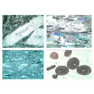 LIEDER Rocks and Minerals, Ground Thin, Fossils and Meteorites, Set no. VI,  4 Microscope Slides size 30x45 mm, without box
