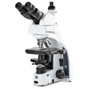 Euromex Microscópio Mikroskop iScope IS.1159-PLPHi, Bino + Phototubus, infinity, Plan Phase IOS 100x-1000x, 10x/22 DL, Köhler LED
