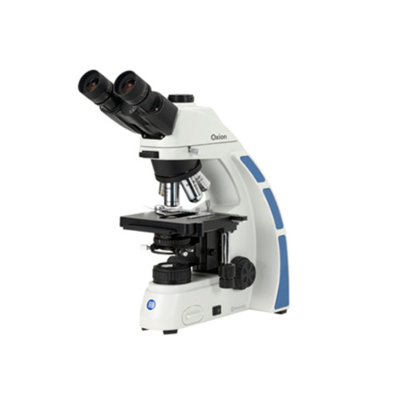 Euromex Microscópio OX.3035 trinocular microscope