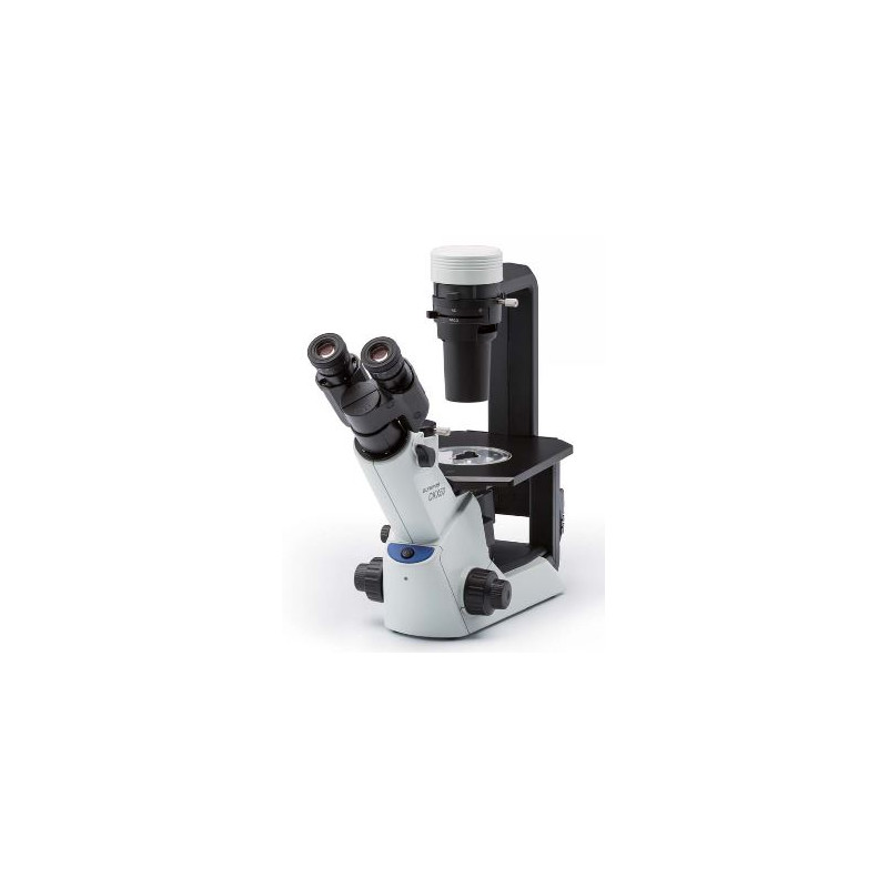 Evident Olympus Microscópio invertido Olympus CKX53 Hellfeld V1, trino, 40x, 100x,
