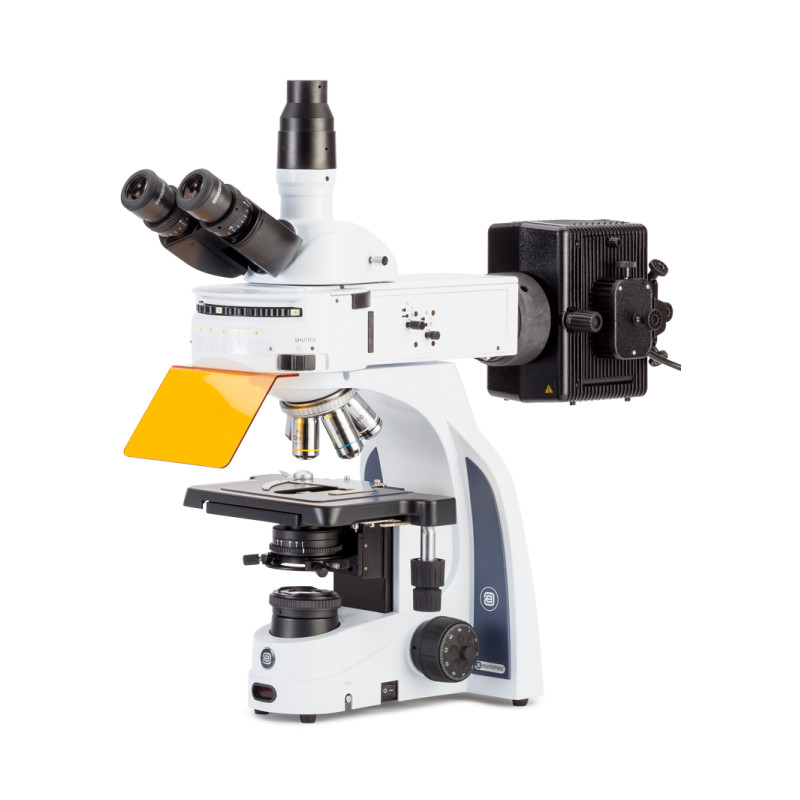 Euromex Microscópio iScope, IS.3153-PLFi/6, trino