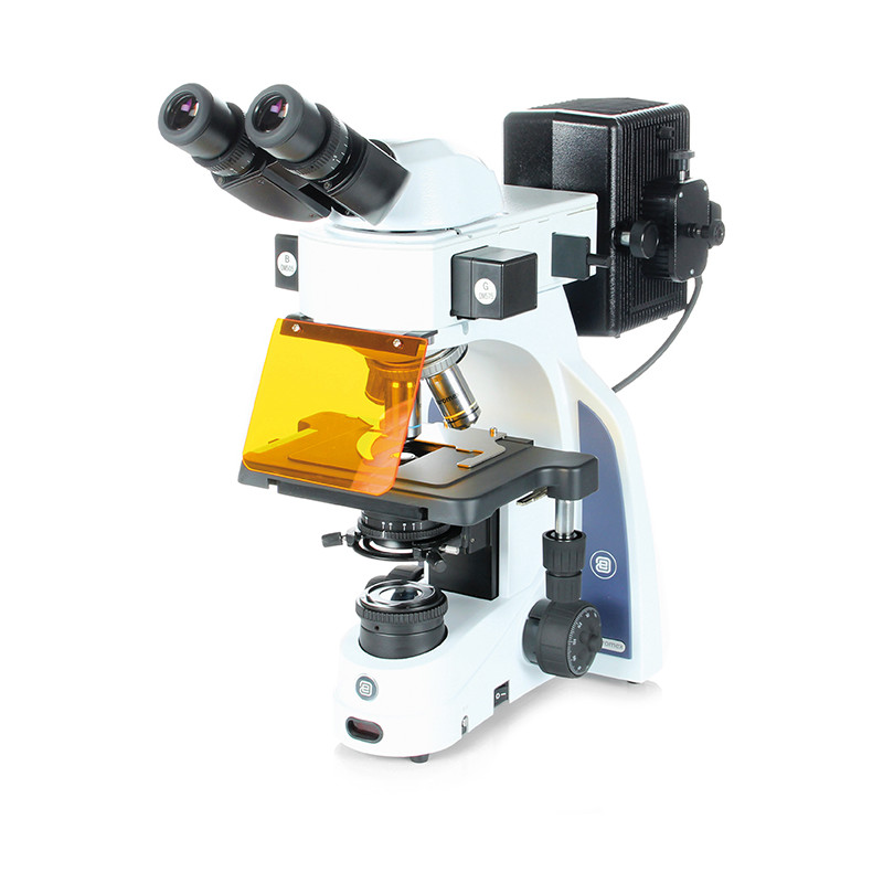 Euromex Microscópio iScope,  IS.3152-PLFi/3, bino