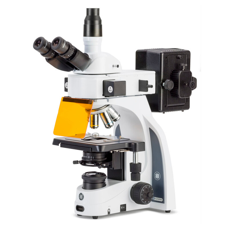 Euromex Microscópio iScope, IS.3153-PLi/3, trino