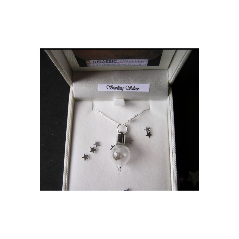 Jurassic Jewellery Mars Dust Necklace (Teardrop)