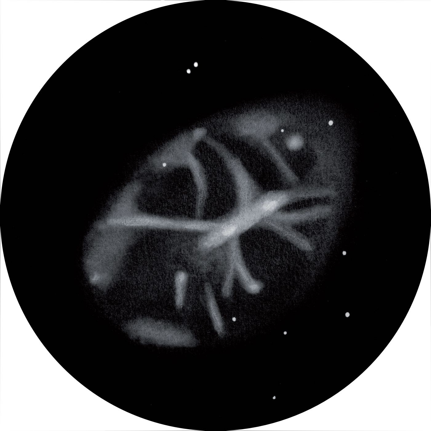 Desenho de Messier 1 com um telescópio newtoniano de 27” com uma ampliação de 366 vezes e um filtro [OIII]. Uwe Glahn 