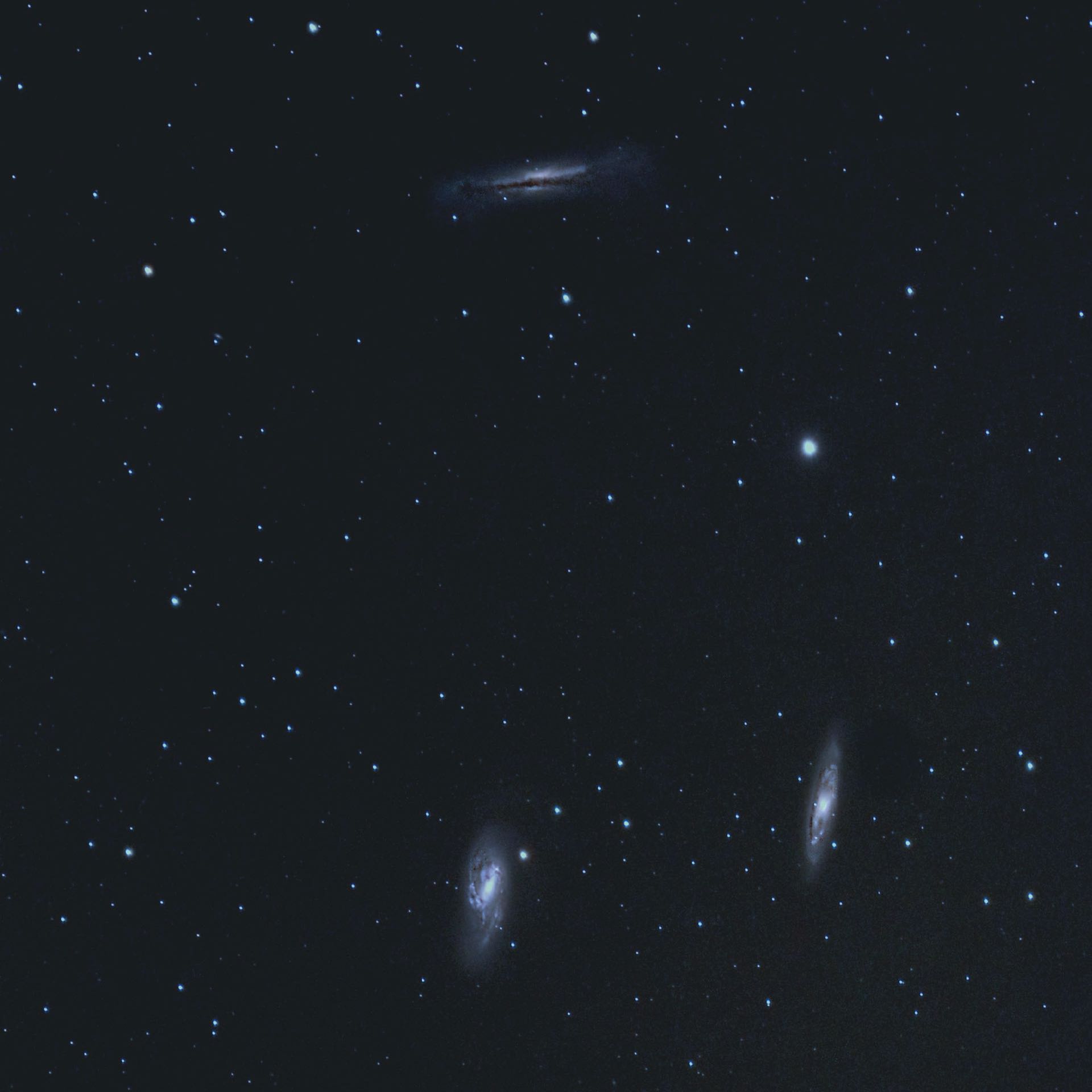 Dois destaques e um desafio: M 66 (na parte inferior esquerda), M 65 e NGC 3628 (na parte superior). H. Fischer 