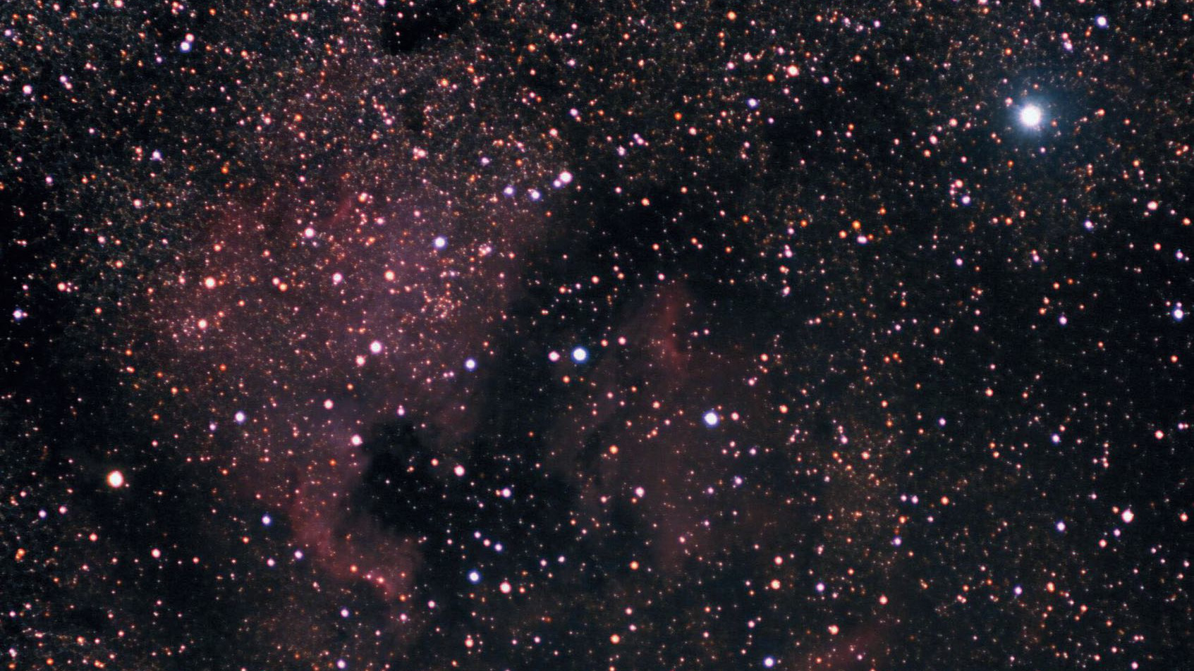 No sudeste de Deneb (estrela brilhante no topo direito) encontra-se a nebulosa norte-americana NGC 7000, uma das mais belas nebulosas gasosa. O Pequeno Oríon pode ser visto à esquerda do centro da imagem ou a leste do Golfo do México. Marcus Degenkolbe 