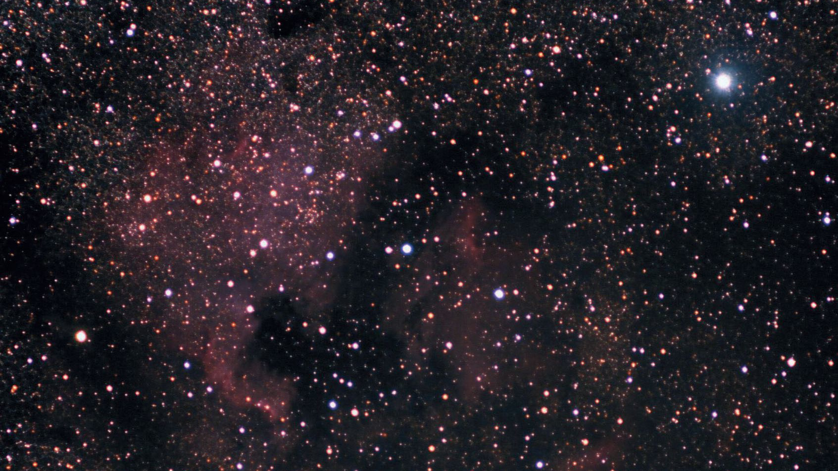 No sudeste de Deneb (estrela brilhante no topo direito) encontra-se a nebulosa norte-americana NGC 7000, uma das mais belas nebulosas gasosa. O Pequeno Oríon pode ser visto à esquerda do centro da imagem ou a leste do Golfo do México. Marcus Degenkolbe