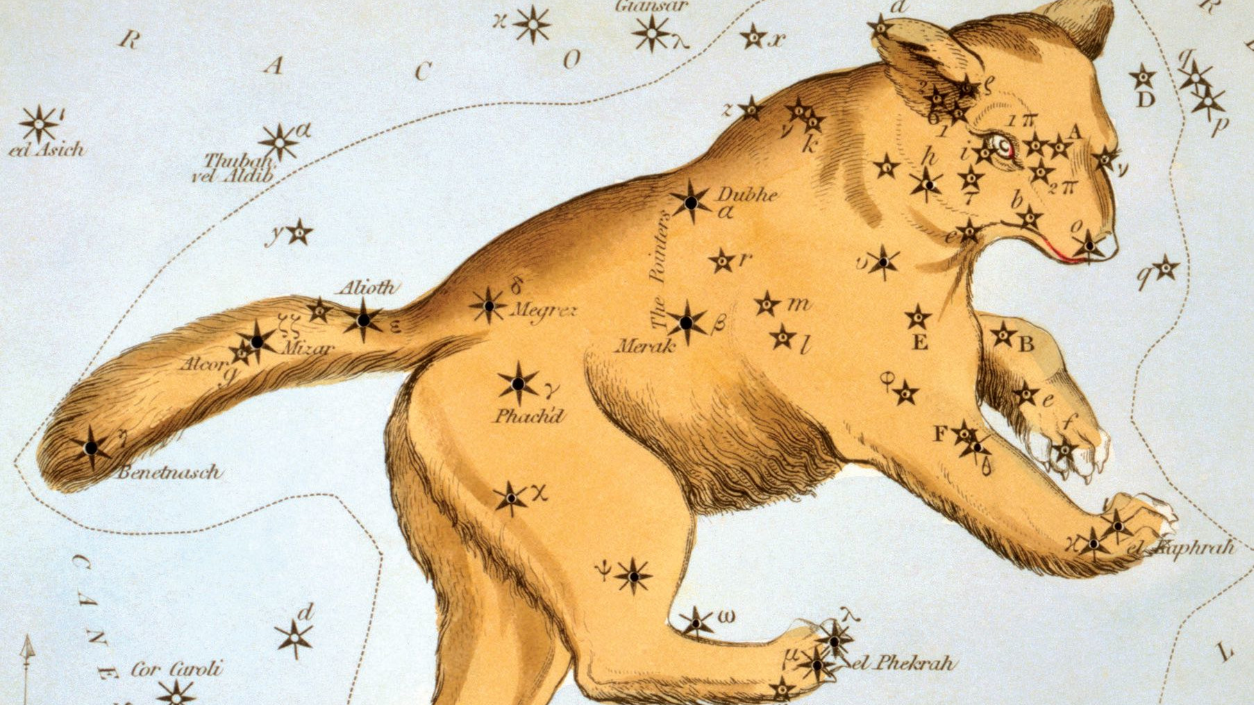 Na parte traseira da Ursa Maior, encontra-se o mais famoso padrão de estrelas (asterismo): o Grande Carro 