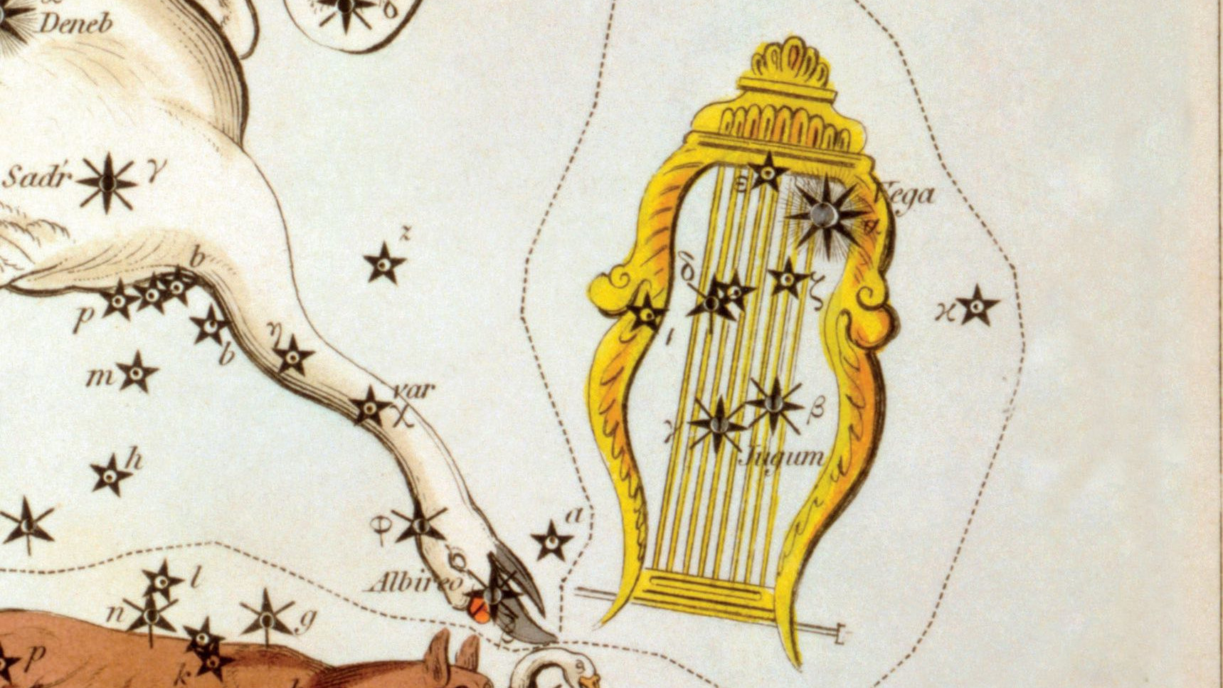 Uma antiga representação da constelação Lyra com a sua estrela principal Vega, um dos vértices do Triângulo de Verão.