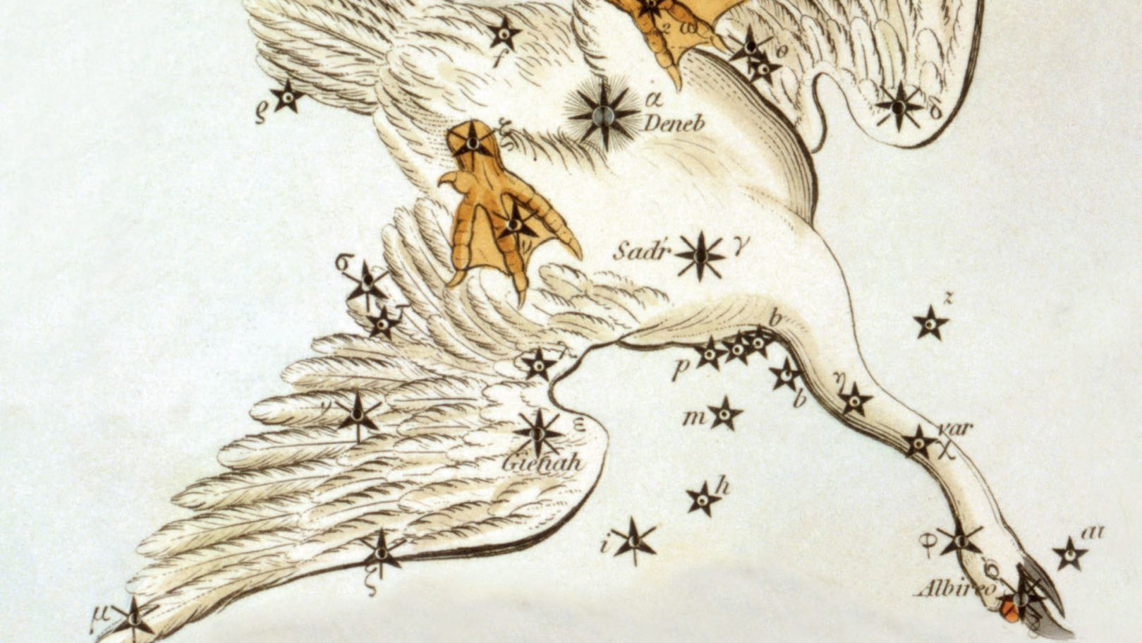 Os antigos gregos viram no céu um cisne gracioso com a forma de uma marcante cruz.