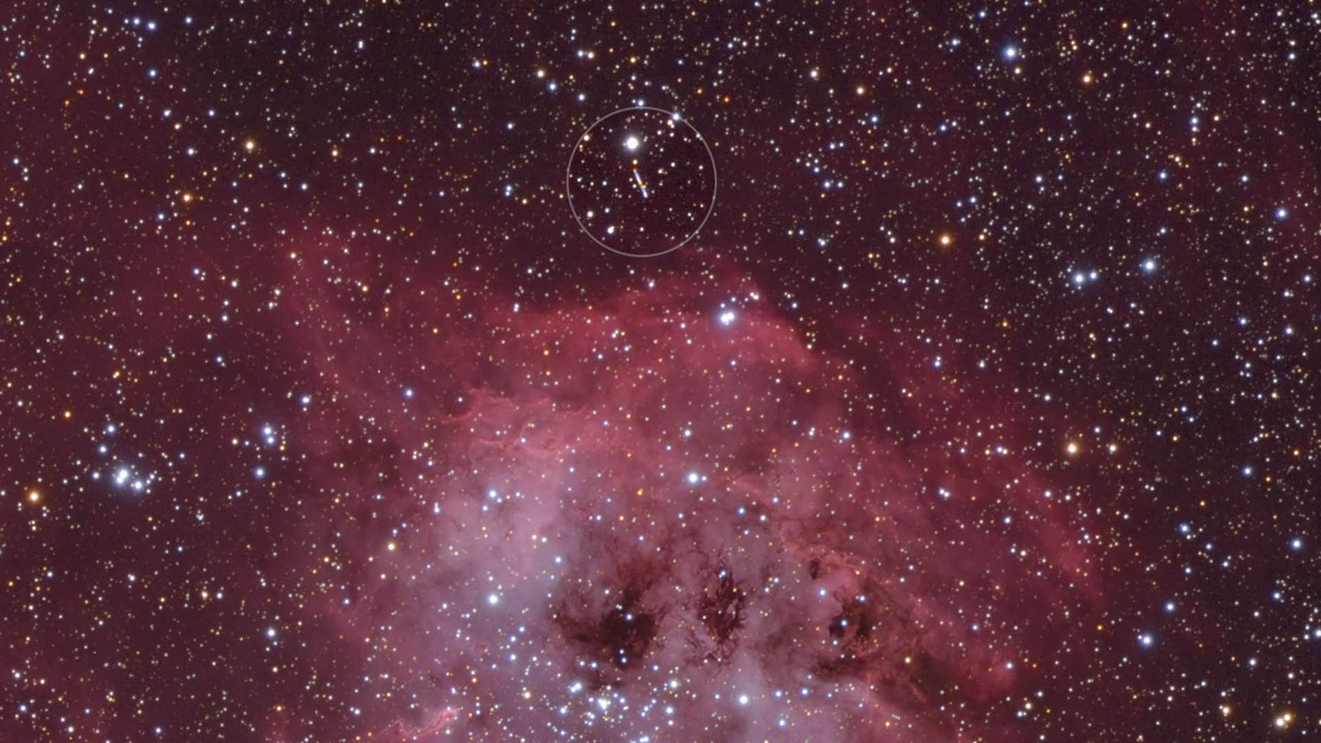 Uma imagem típica junta da eclítica: o planetoide (81) Terpsícore (identificado com um círculo) provoca um rasto brilhante nesta fotografia da nebulosa IC 410. M. Weigand