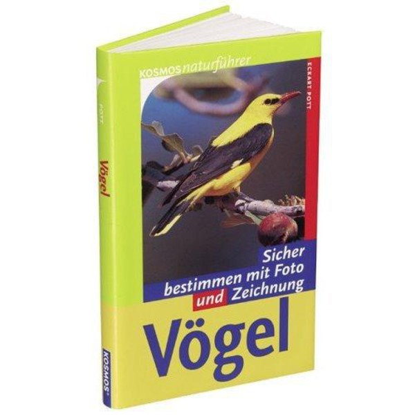 Kosmos Verlag Identificar pássaros com exatidão com foto e desenho