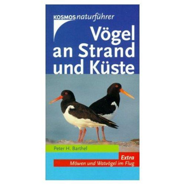 Kosmos Verlag Pássaros na praia e costa