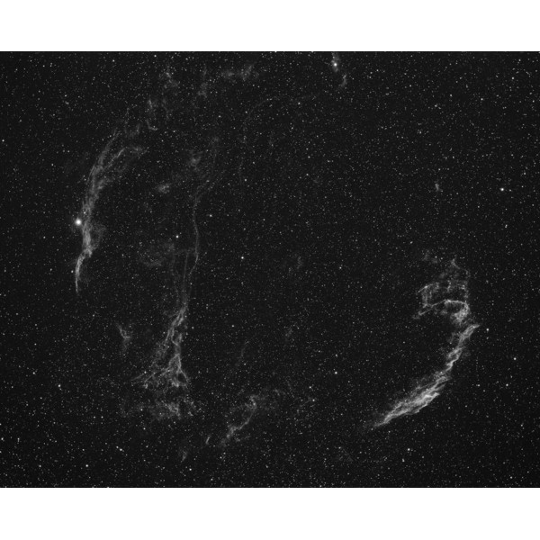 Starlight Xpress SXVR-H36 CCD-Câmera mono