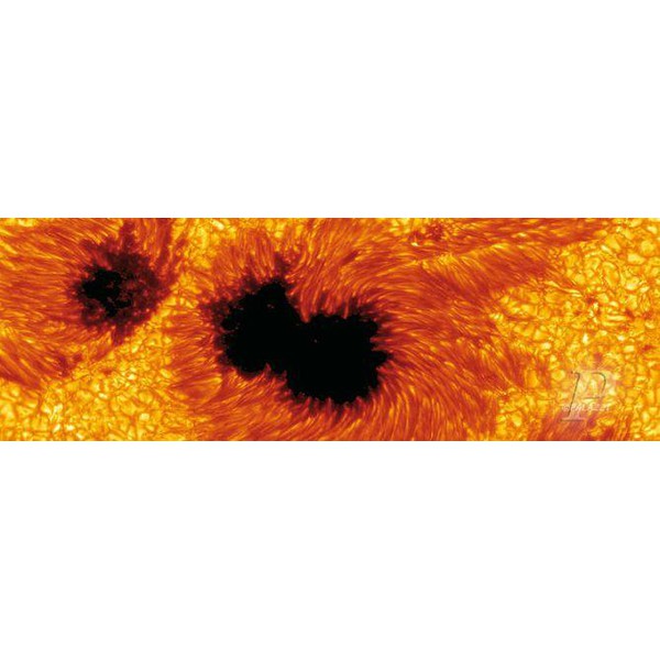 Palazzi Verlag Poster Manchas solares