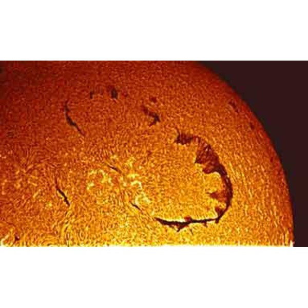 Solarscope UK Filtro solar 50 pilha dupla