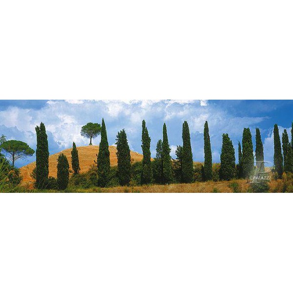 Palazzi Verlag Poster Val Dórica Tuscany impressão em tela