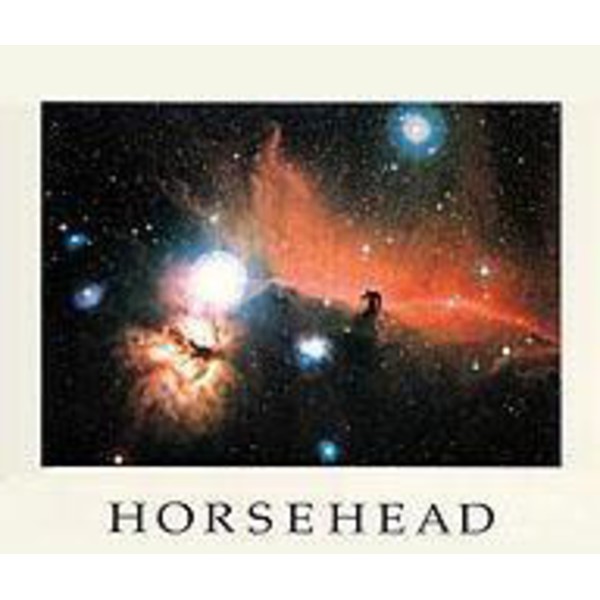 Palazzi Verlag Poster Nebulosa - Cabeça do cavalo