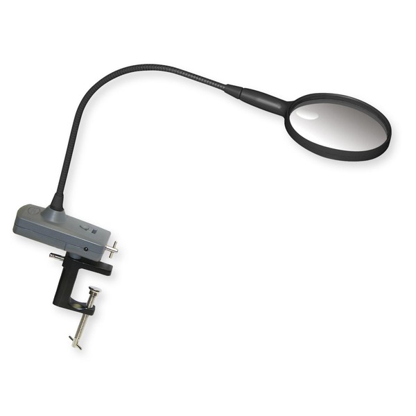 Carson Lupa Lente de aumento de 2x LED MagniFlex com pescoço de cisne