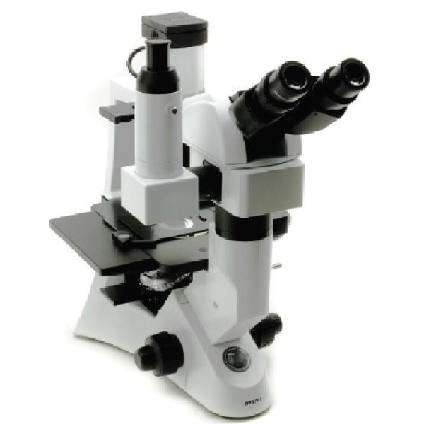 Optika XDS-2 ERGO, Microscópio inverso, con testa ergonomica, IOS, LWD, X-LED
