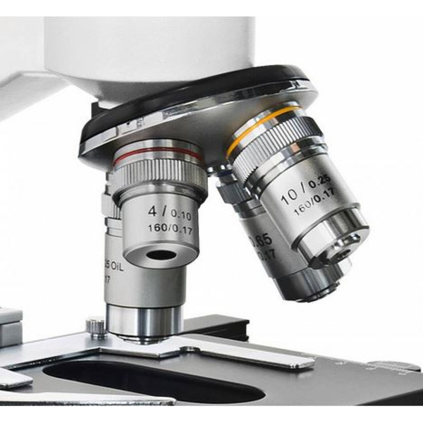 Bresser Microscópio Erudit DLX, mono, 40x-600x