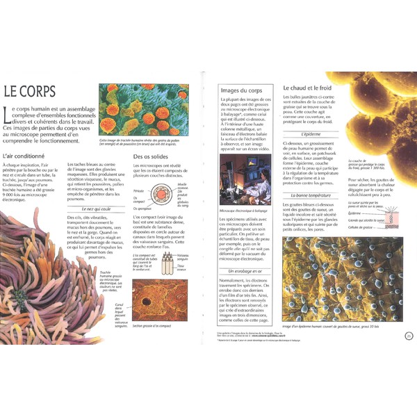 Edition Usborne Le Monde Microscopique (livro francês)