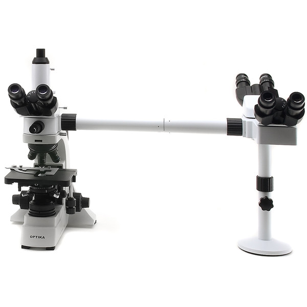 Optika Microscópio B-500Ti-3, Cabeça de discussão, 3 cabeças, 1000x, LED