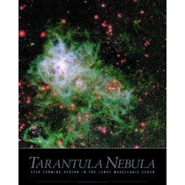 Poster Nebulosa da Tarântula