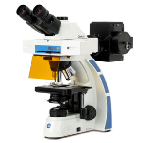 Euromex Microscópio OX.3085 trinocular microscope, Fluarex, oil immersion