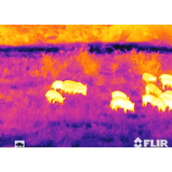 Armasight Câmara térmica Monóculo Prometheus 3x 336-9
