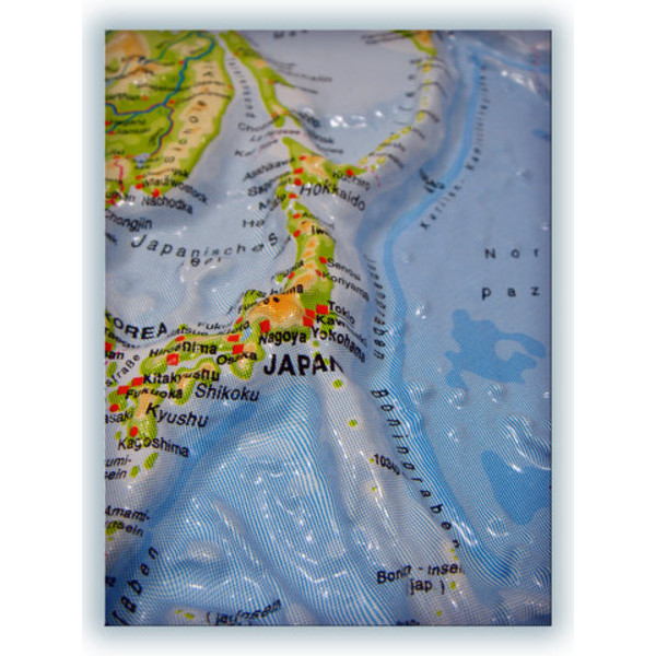 geo-institut os Mapa mundial Mapa de relevo mundial Linha de prata físico Inglês