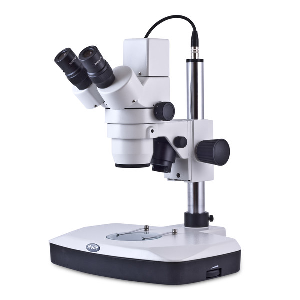 Motic Microscópio estéreo zoom DM-143-FBGG, Stereo