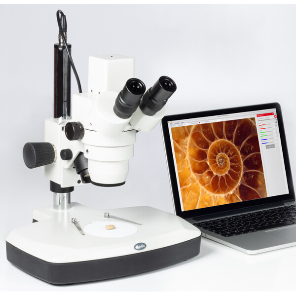 Motic Microscópio estéreo zoom DM-143-FBGG, Stereo