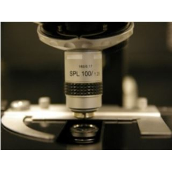 Hund Microscópio H 600 LL HP 100, Campo escuro