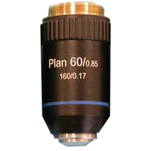Hund objetivo Planachromatic 60X / 0.85 objective for upright microscopes