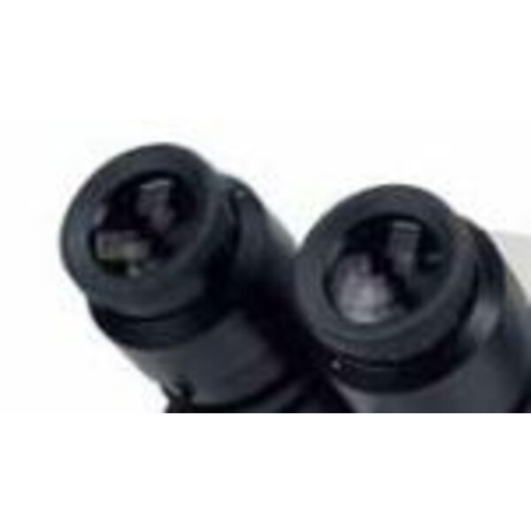 Hund Viseiras para oculares para Wiloskop-F-Zoom Par