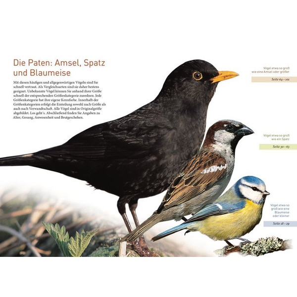 Kosmos Verlag Aves de jardim em tamanho real