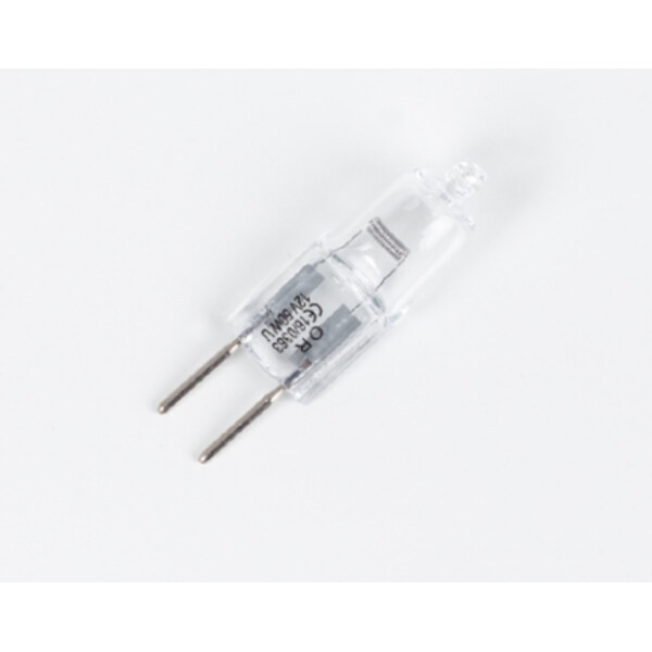 Motic Lâmpada de halogéneo de substituição 12V/50W para Luz refletida