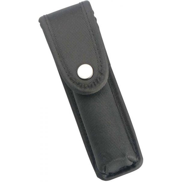 Walther Estojo de cinto para Tactical 250