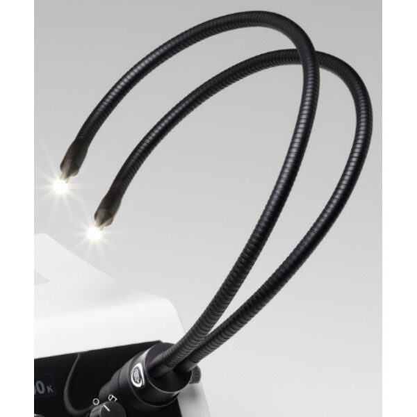 SCHOTT Pescoço de cisne, 2 braços PURAVIS Ø 4,5mm / 600mm