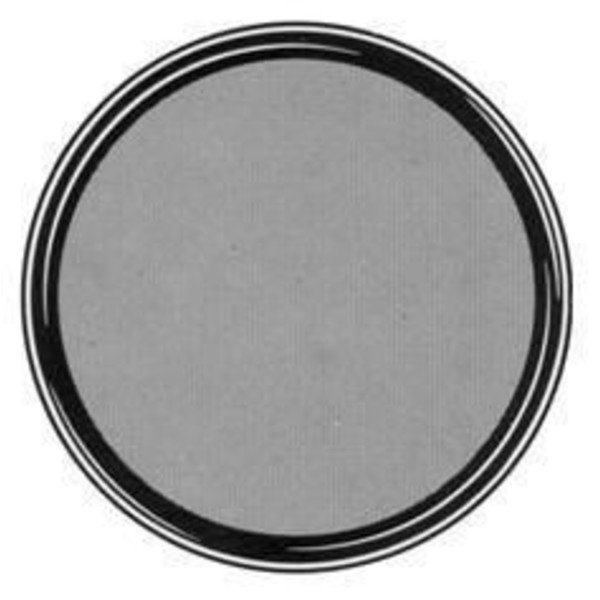 TS Optics Filtro de cor cinza 2" 13% de transmissão