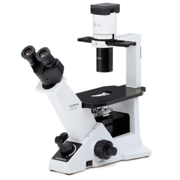 Evident Olympus Microscópio invertido CKX31 Bright Field, Hal, bino, 40x, 100x, 200x, 400x