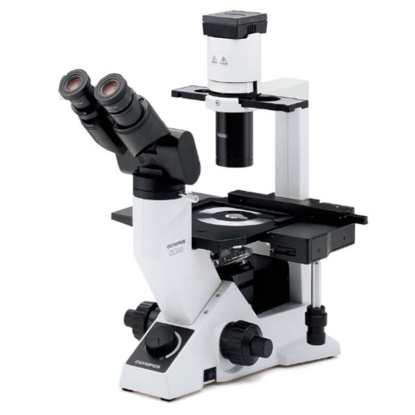 Olympus Microscópio CKX41, bino, ergo, Hal, 40x, 100x, 200x, 400x