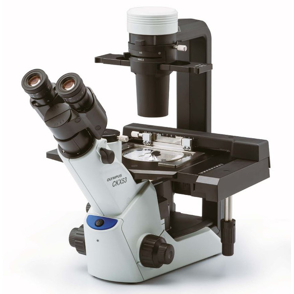 Evident Olympus Microscópio invertido Olympus CKX53 IPC/IVC V2, PH, trino, x/y-stage, infinito, achro, 10x, 20x, 40x, LED