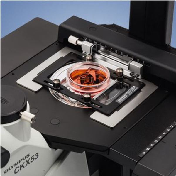 Evident Olympus Microscópio invertido CKX53 trinocular microscope, 100X, 200X, 400X, IPC / IVC x/y stage