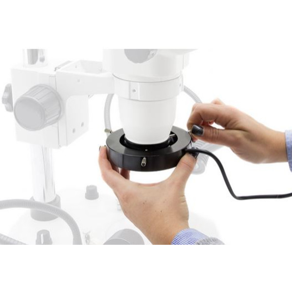 Optika Anel luminoso CL-16.1, 144-LED, UE