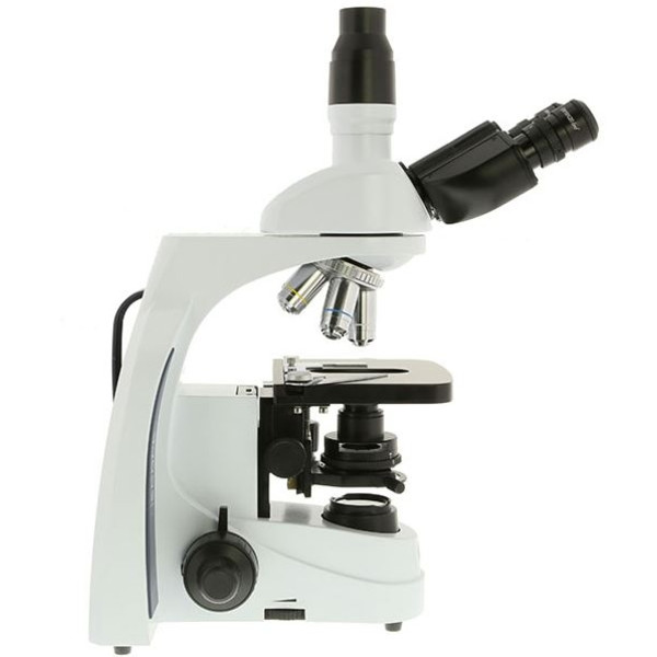 Euromex Microscópio iScope IS.1153-PLPH, PH, trino, DIN, plan, 100x-1000x, LED, 3W